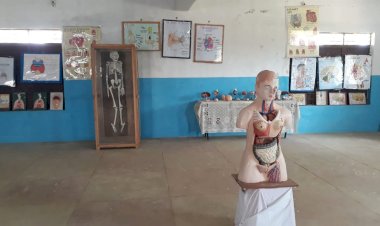 Mandatory Disclosures